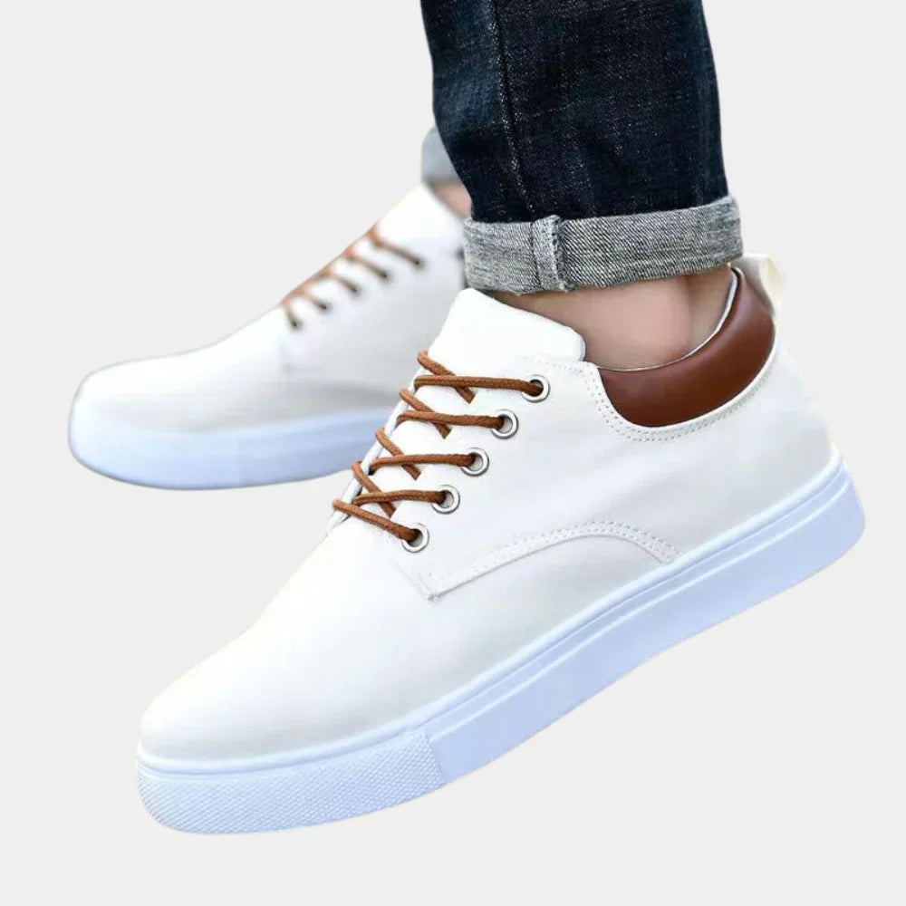 Spring Shoes for men
