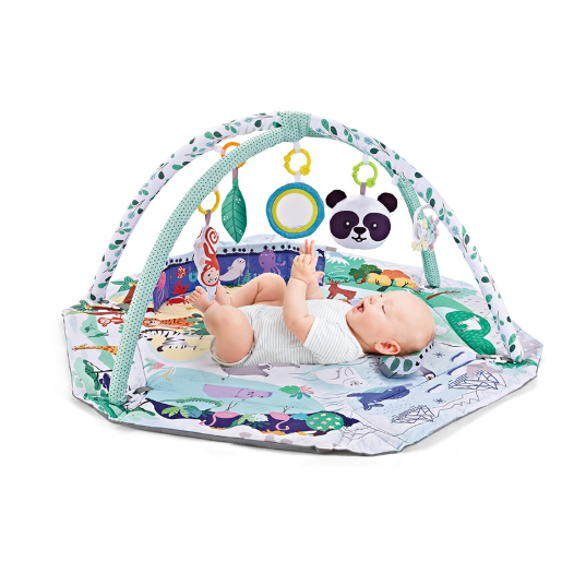 Baby Play Mat and Gym with Overhead Arches Hanging Toys and Activity Centre
