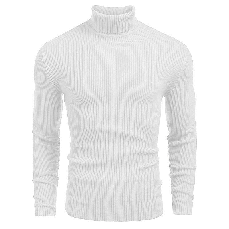 Men's ribbed knit turtleneck sweater Chic und Stil