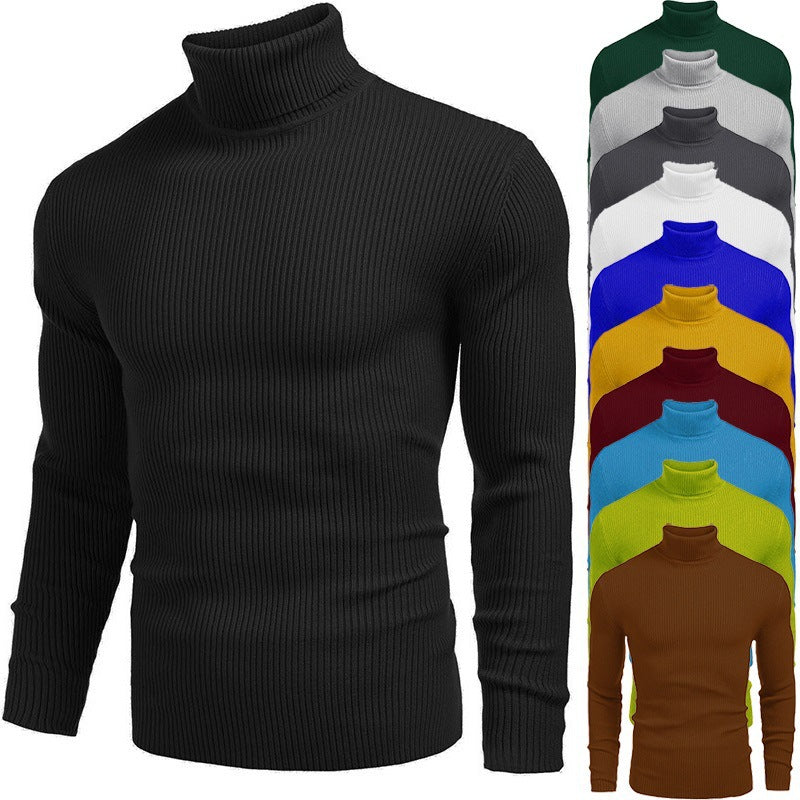 Men's ribbed knit turtleneck sweater Chic und Stil