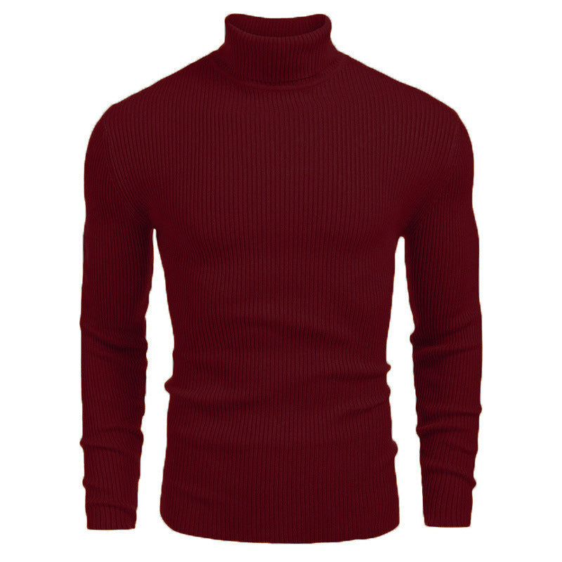 Men's ribbed knit turtleneck sweater Chic und Stil