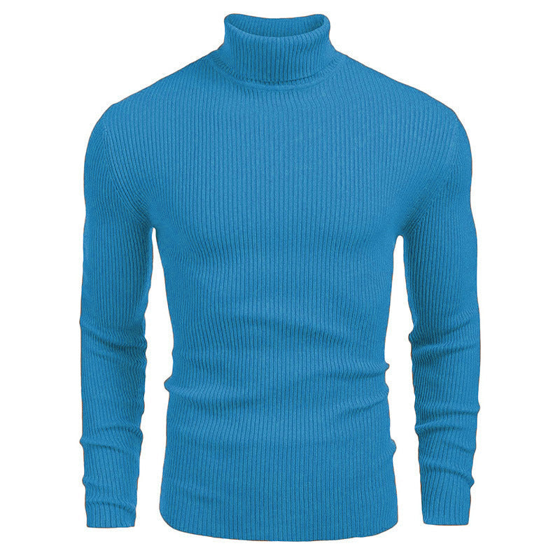 Men's ribbed knit turtleneck sweater Chic und Stil