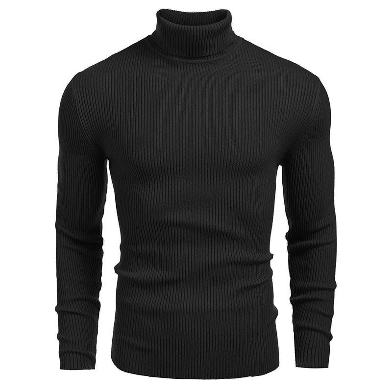 Men's ribbed knit turtleneck sweater Chic und Stil