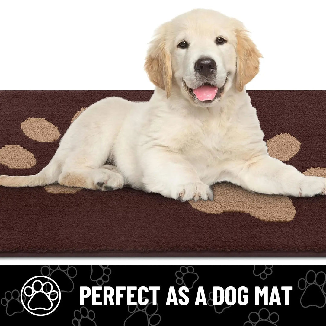 https://cdn.shopify.com/s/files/1/0718/4295/5495/files/absorbent-dog-door-mat-with-non-slip-backing-quick-drying-chenille-texture-ideal-for-trapping-pet-pa-7.jpg?v=1755795122