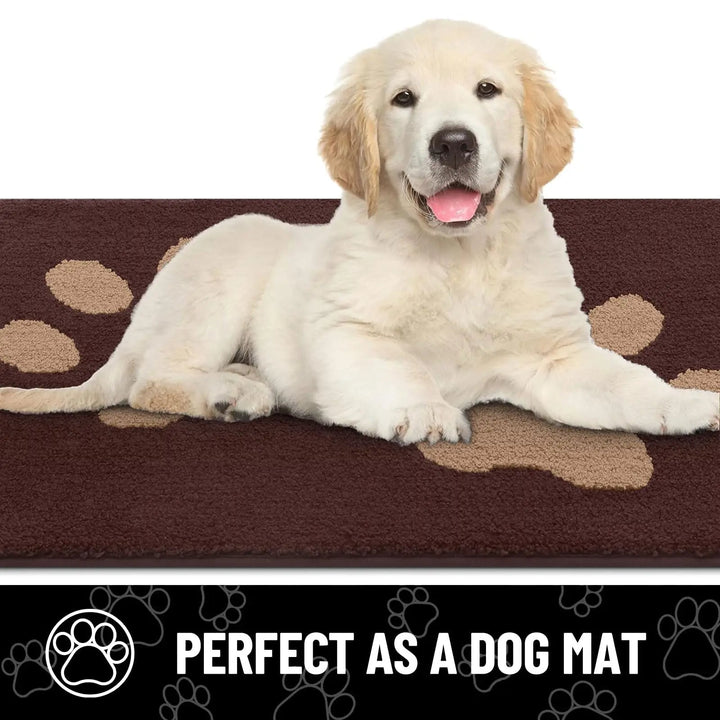 https://cdn.shopify.com/s/files/1/0718/4295/5495/files/absorbent-dog-door-mat-with-non-slip-backing-quick-drying-chenille-texture-ideal-for-trapping-pet-pa-7.jpg?v=1755795122