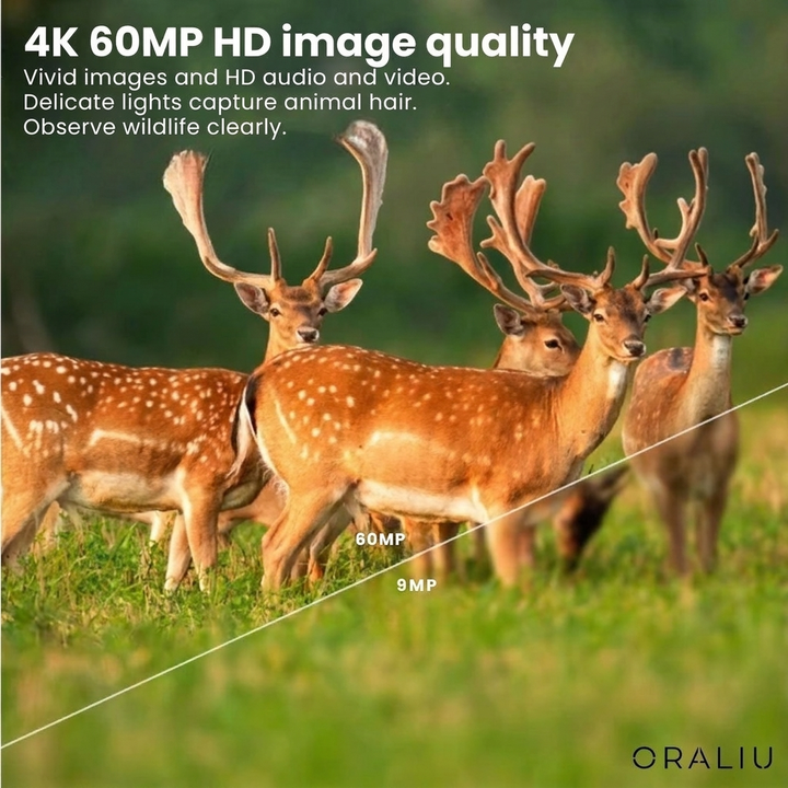 Compact 4K Wildlife Camera with Mobile App for Easy Monitoring