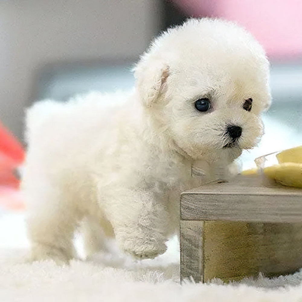 Interactive Puppy Toy with Voice and Touch Response