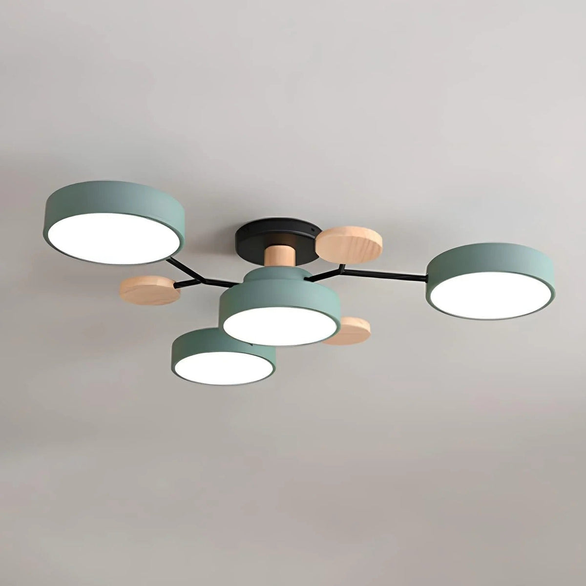 Modern LED Chandelier for the Living Room
