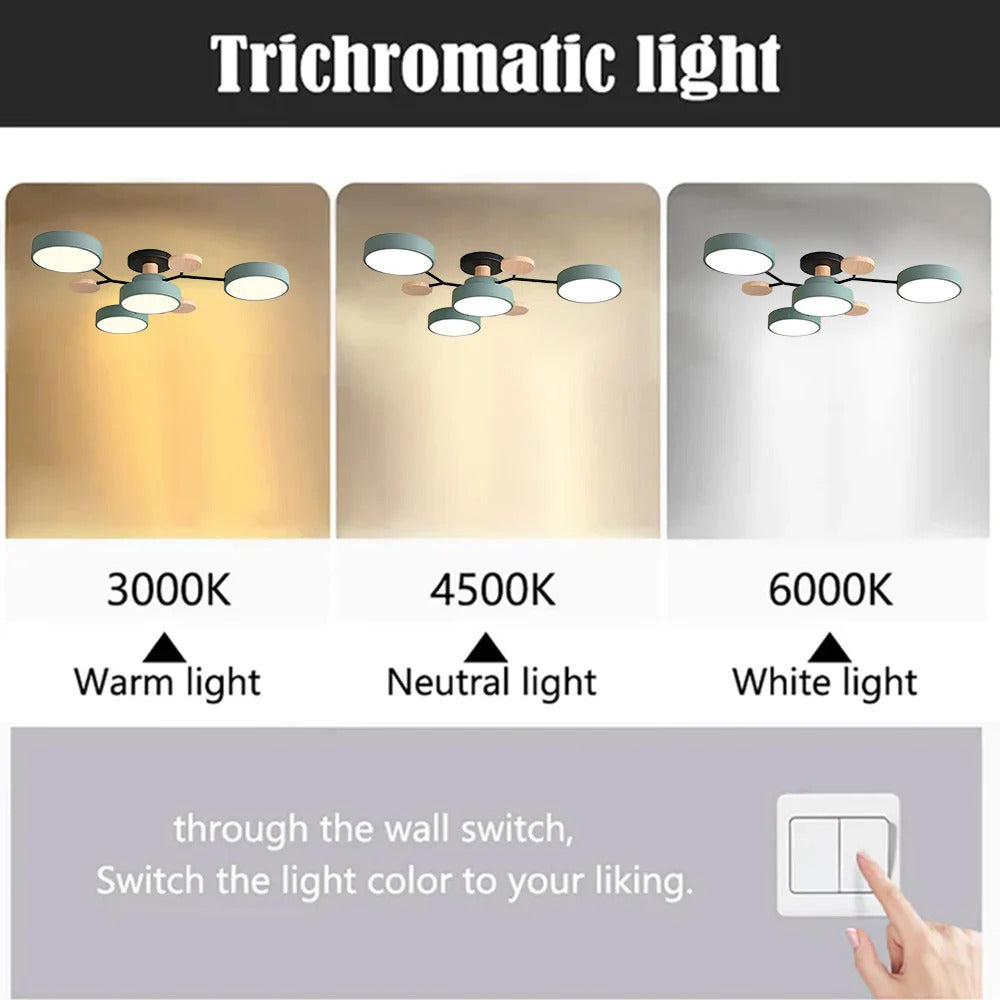 Modern LED Chandelier for the Living Room
